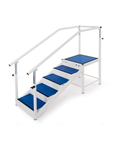 Escalier de rééducation 4 marches + plateforme | Kiné Stock 2