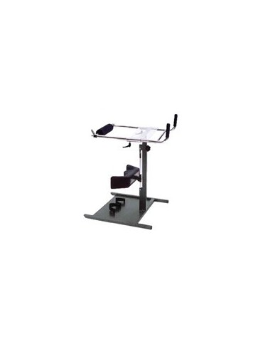 Standing GT - Verticalisateur | Kiné Stock 2
