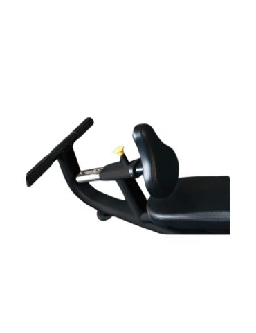 Banc de musculation incliné olympique WBX-3800 | Kinéstock 2