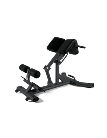 Banc de musculation lombaires | Kiné Stock