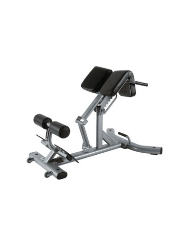 Banc de musculation lombaires | Kiné Stock 2