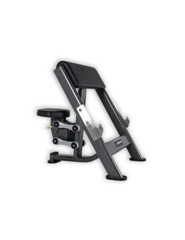 Banc Biceps Curl | Kiné Stock