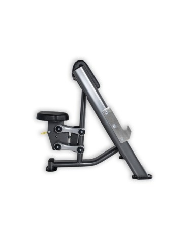 Banc Biceps Curl | Kiné Stock 2
