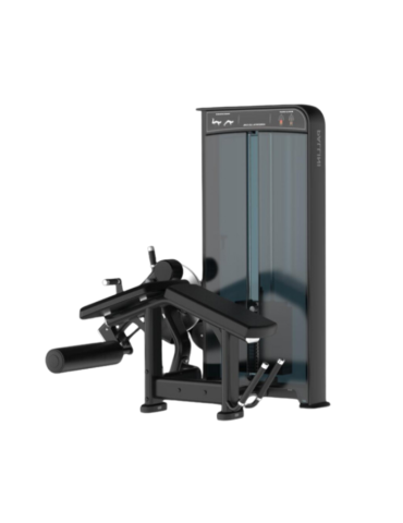 Horizontal Leg Curl - X Line | Kiné Stock 2