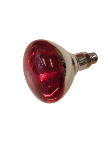 Ampoule IR
