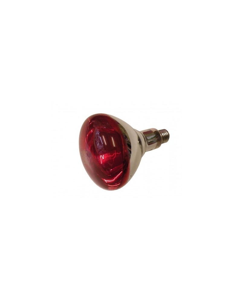 Ampoule IR
