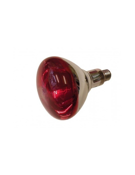 Ampoule IR