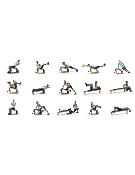 Tria Trainer Nohrd